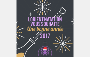 Voeux 2017