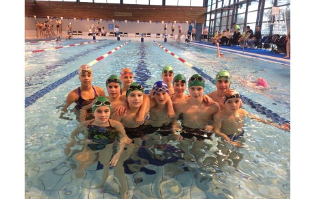 Natathlon #2 à Auray