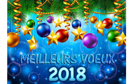 VOEUX 